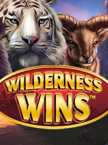 Wilderness Wins
