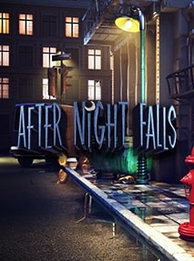After Night Falls