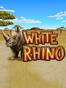 White Rhino